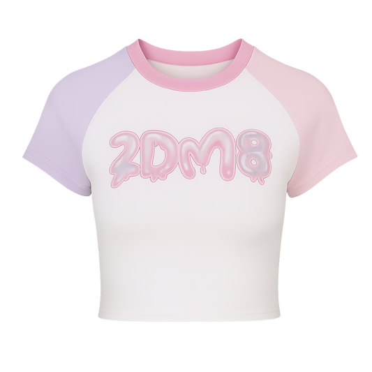 2D WAIFU Raglan